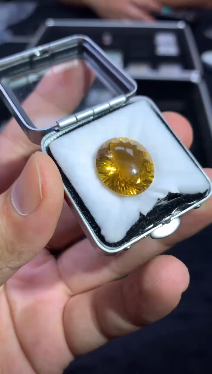 未镶嵌颈饰水晶7003526/001/多样性发/一件