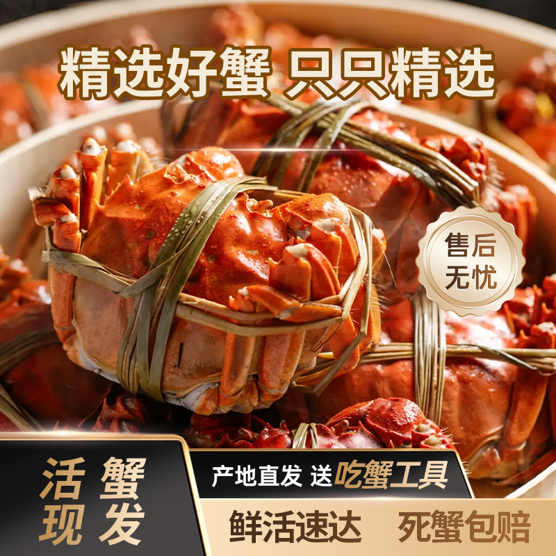 【活蟹】精品大闸蟹 公6.0~5.7两  8只/10只 顺丰包邮