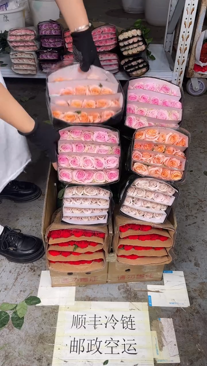 珍爱20枝+曼塔20枝+微光20枝+桃红20枝