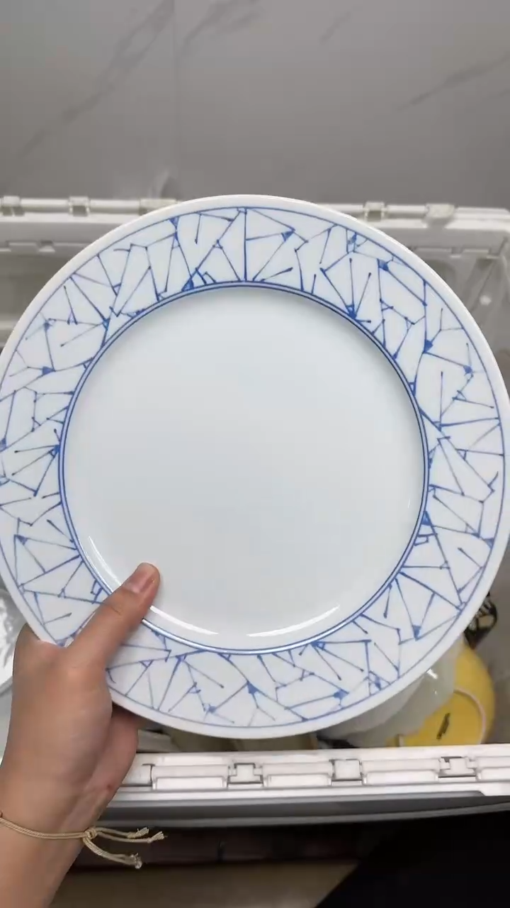 【闪购商品】5754回流瓷器默认微瑕，18.8包邮