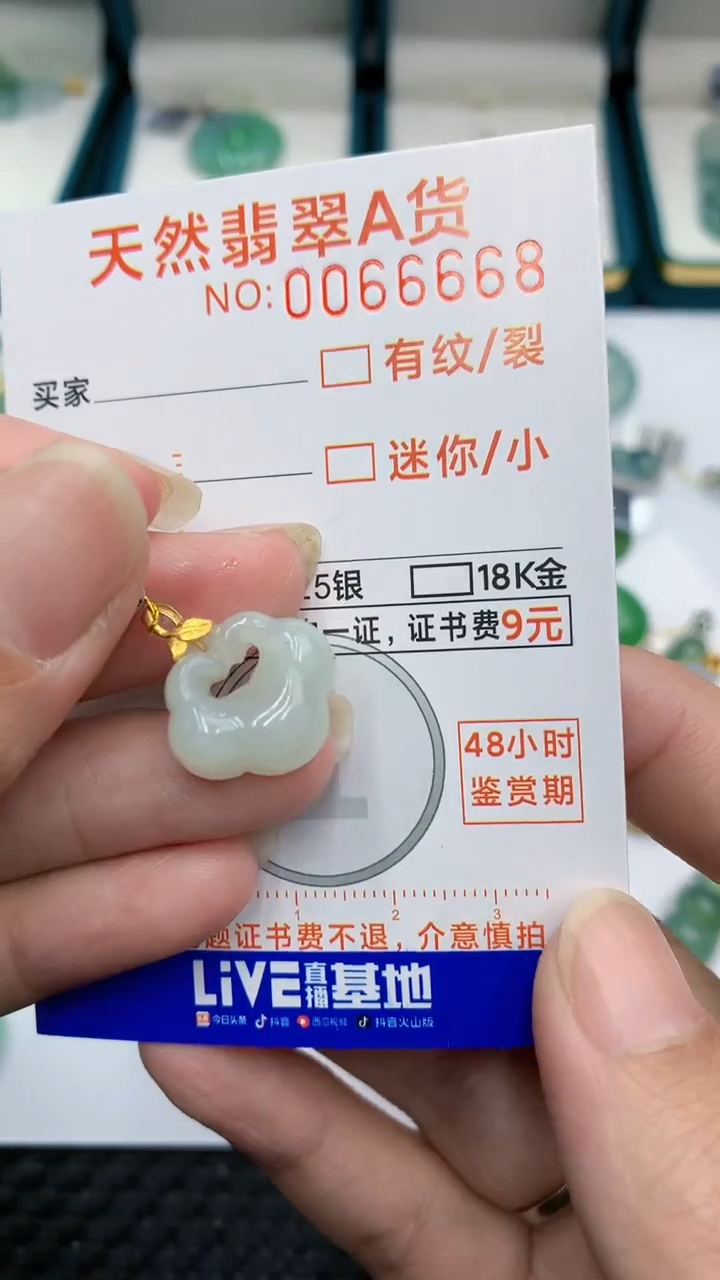 【闪购商品】翡翠颈饰18K金镶嵌            8