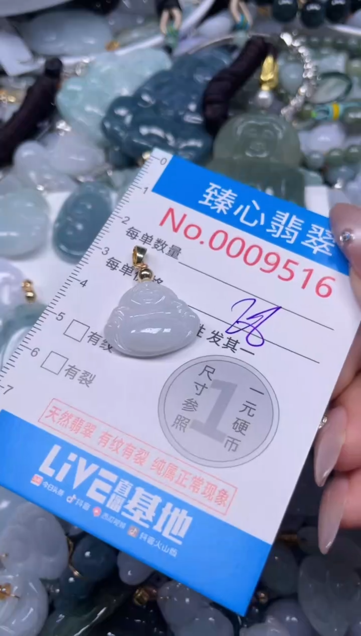 颈饰未镶嵌翡翠9506