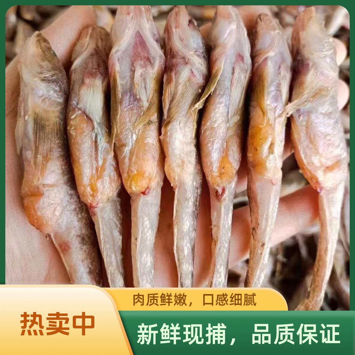 渤海湾一卤鲜淡干光鱼保留口感有湿度