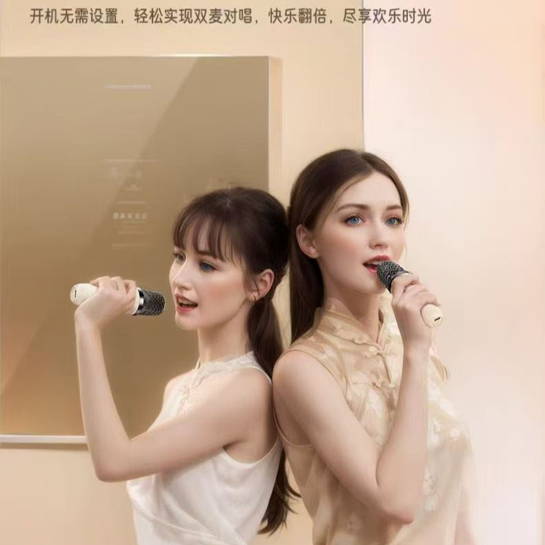 2025新款 户外 家用 唱歌 蓝牙 一体