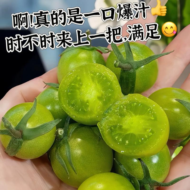 青色小番茄二斤【纯甜口感】（1szkzy）绿色樱桃小番茄