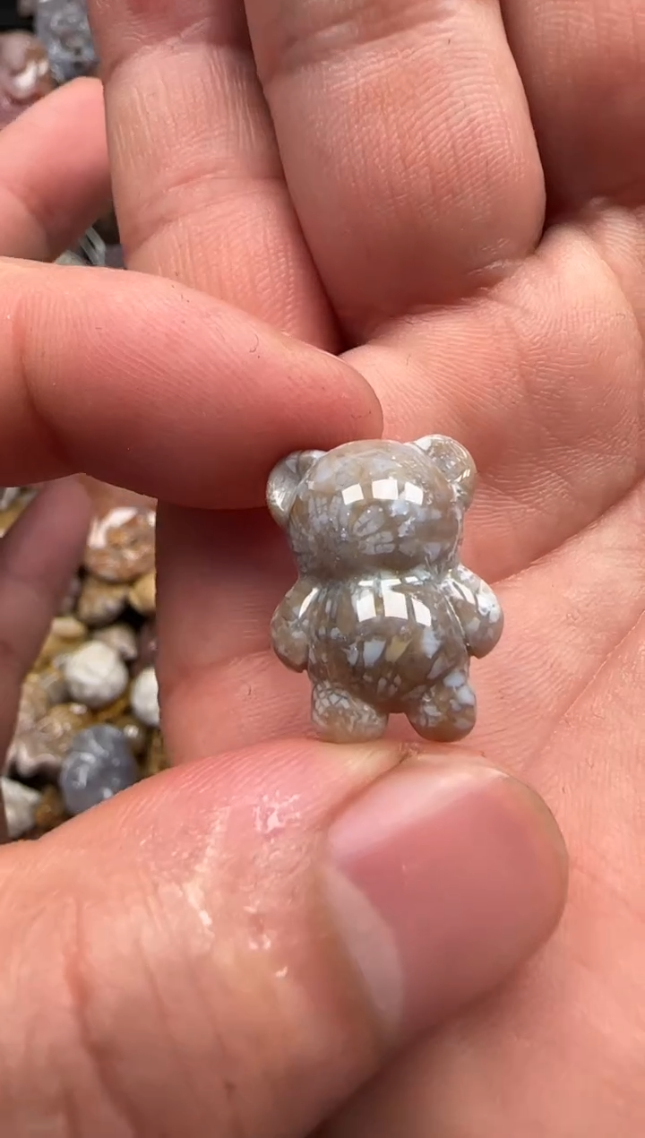 【闪购商品】硅化珊瑚（珊瑚玉）颈饰未镶嵌351