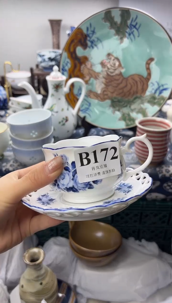 瓷片柳*柳  B172