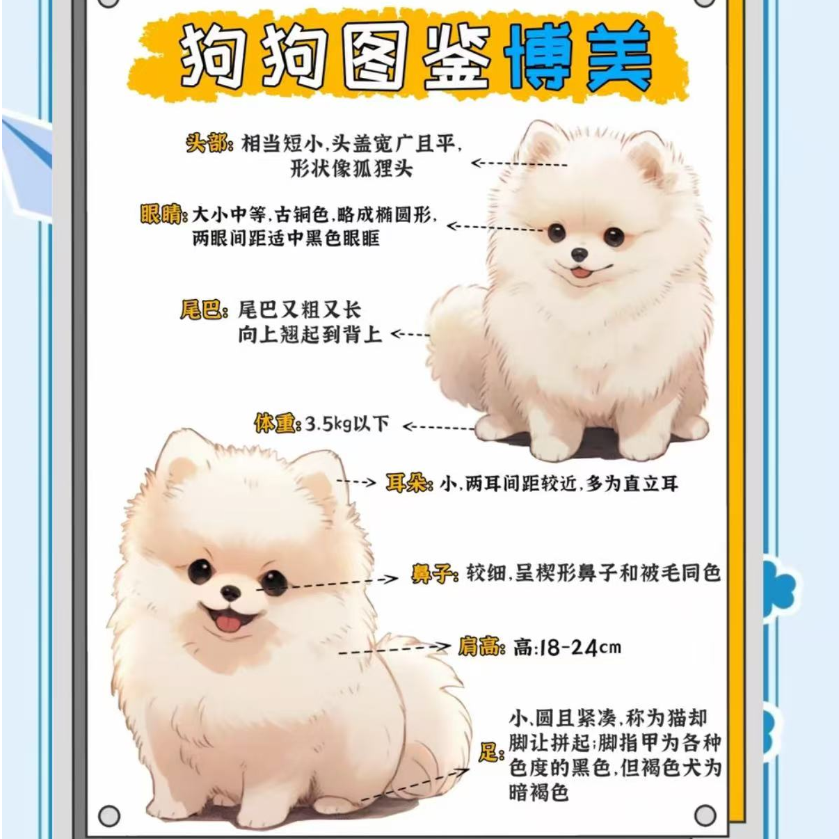 活体狗狗专属（拍单备注）