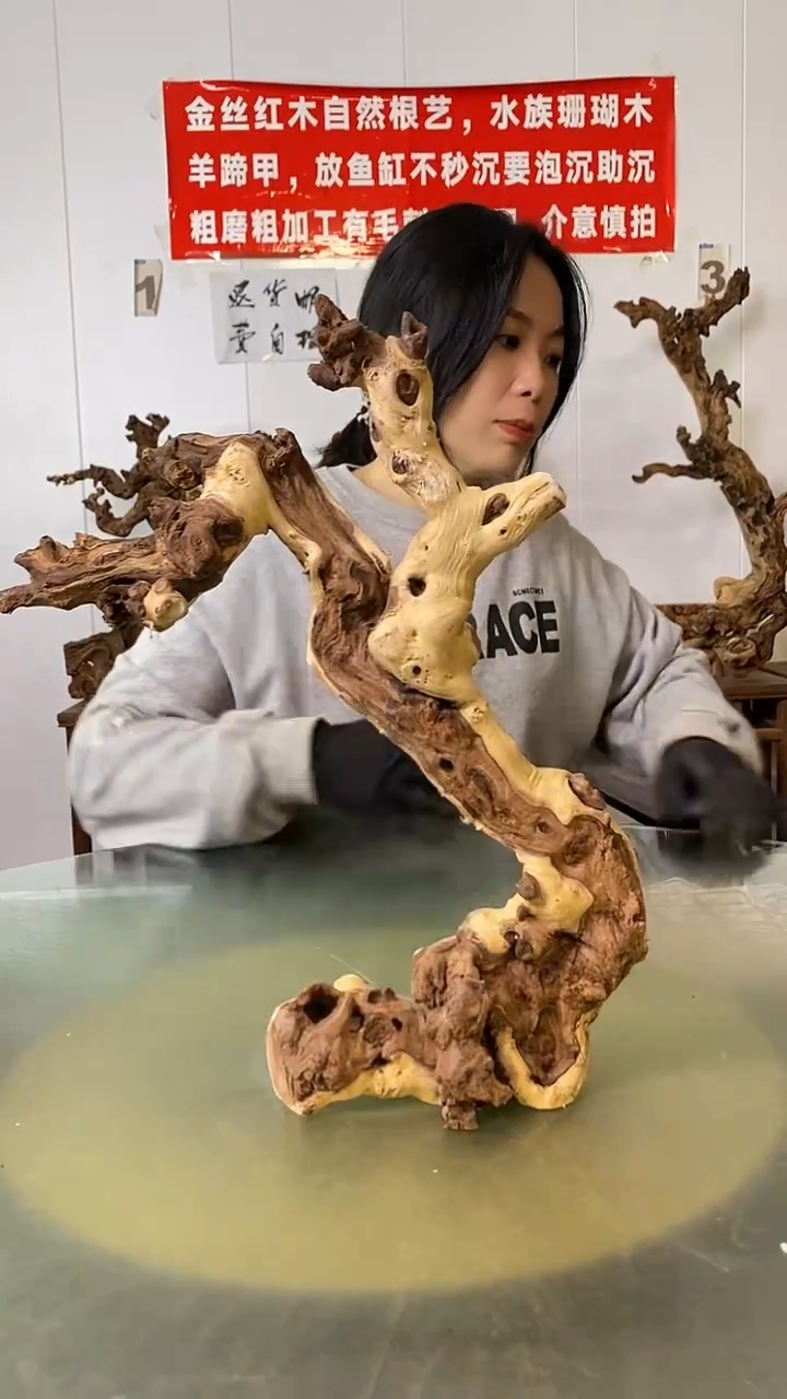 木用****3金丝红木  羊蹄甲