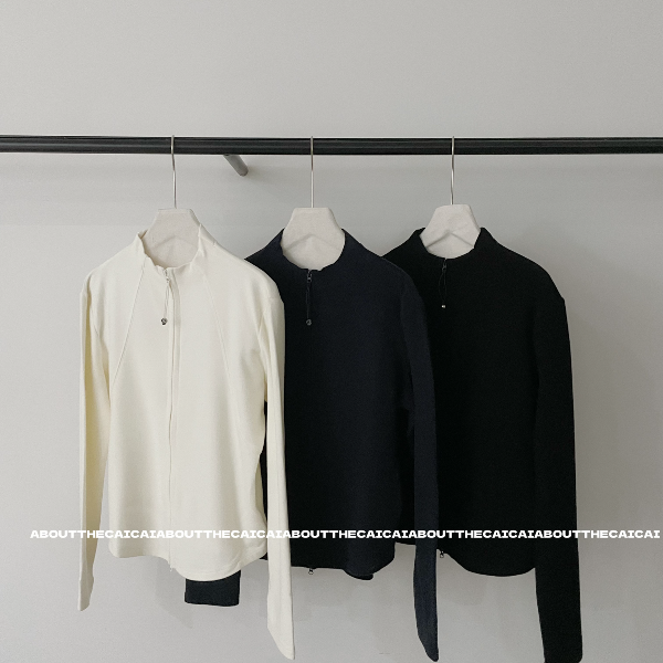 CAICAI双面绒立领保暖卫衣女秋冬加厚韩系简约高级感休闲百搭上衣