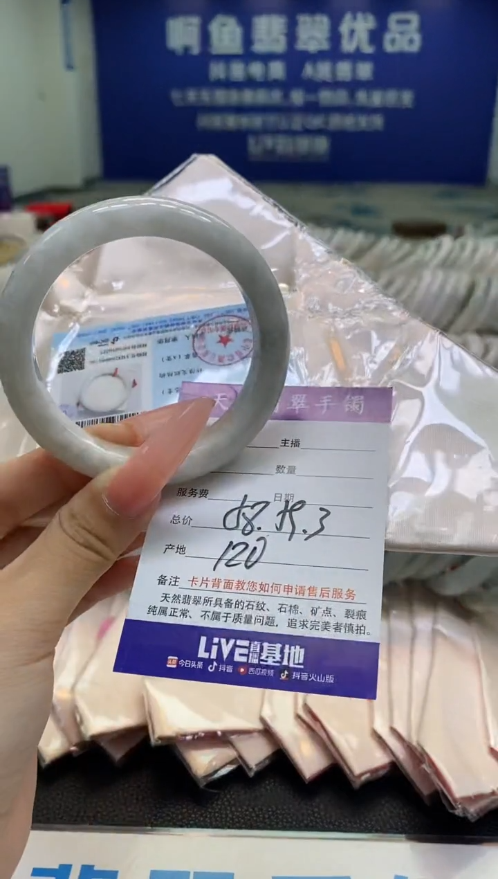 未镶嵌手镯翡翠004