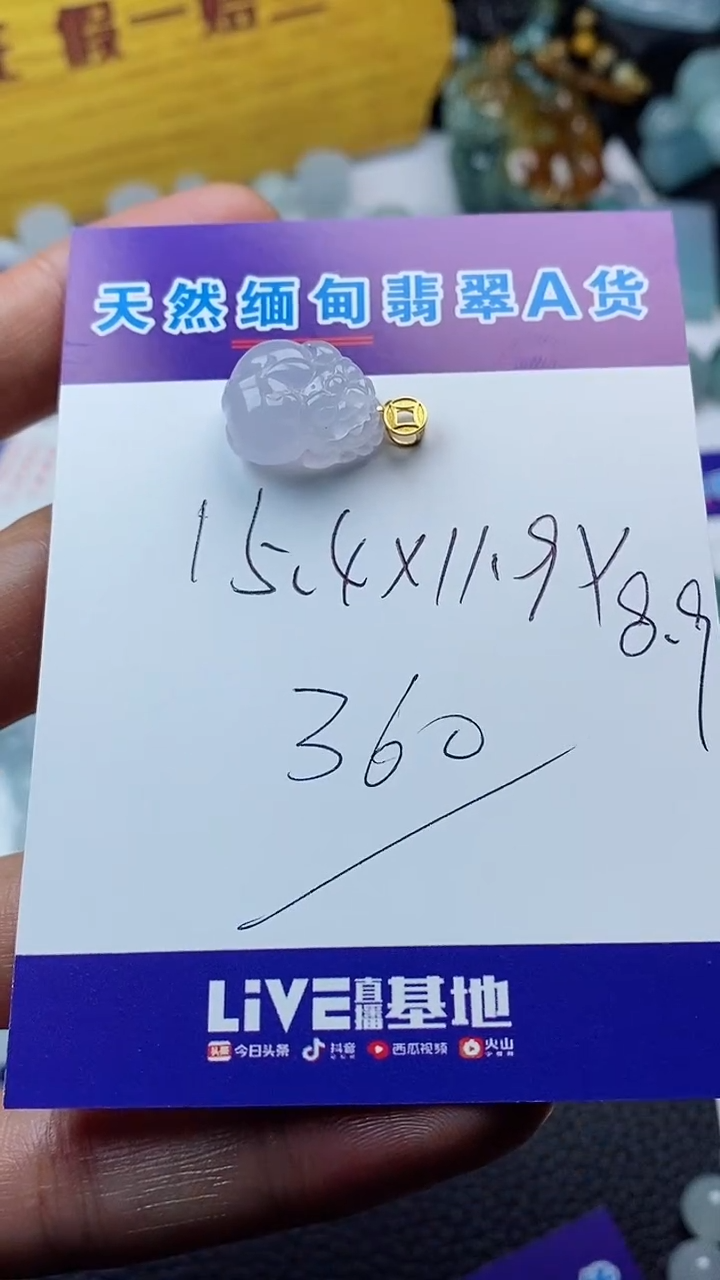 【闪购商品】翡翠颈饰未镶嵌貔貅