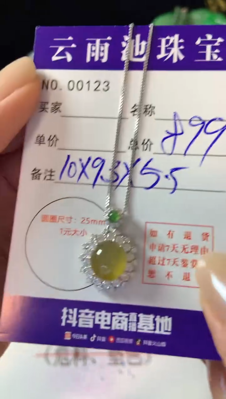 【闪购商品】翡翠颈饰银S925镶嵌翡翠