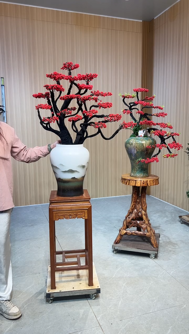 无花朵鲜**士北美冬青北美冬青桌面白