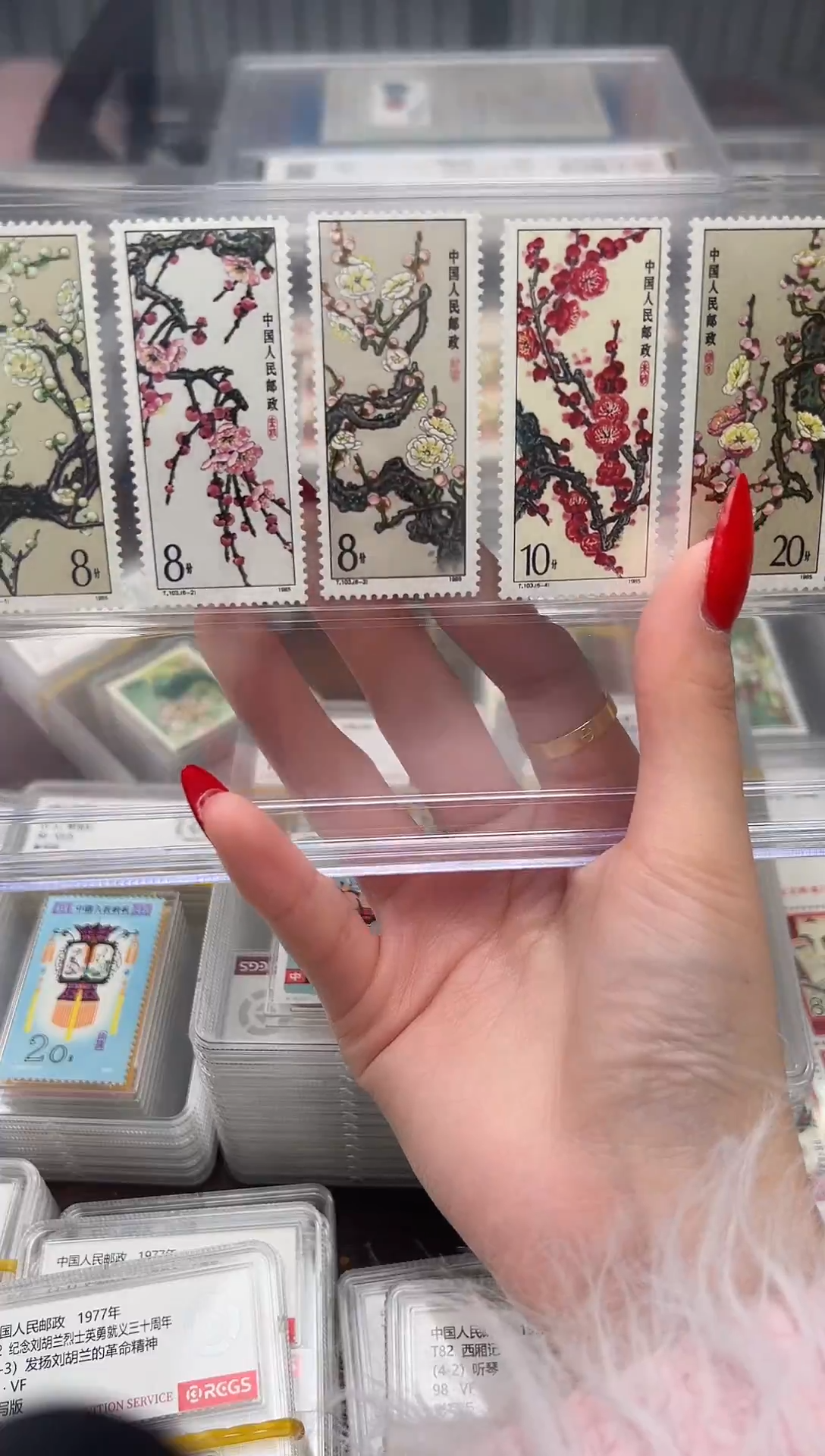 【闪购商品】T103梅花邮票套票 封装 精大盒