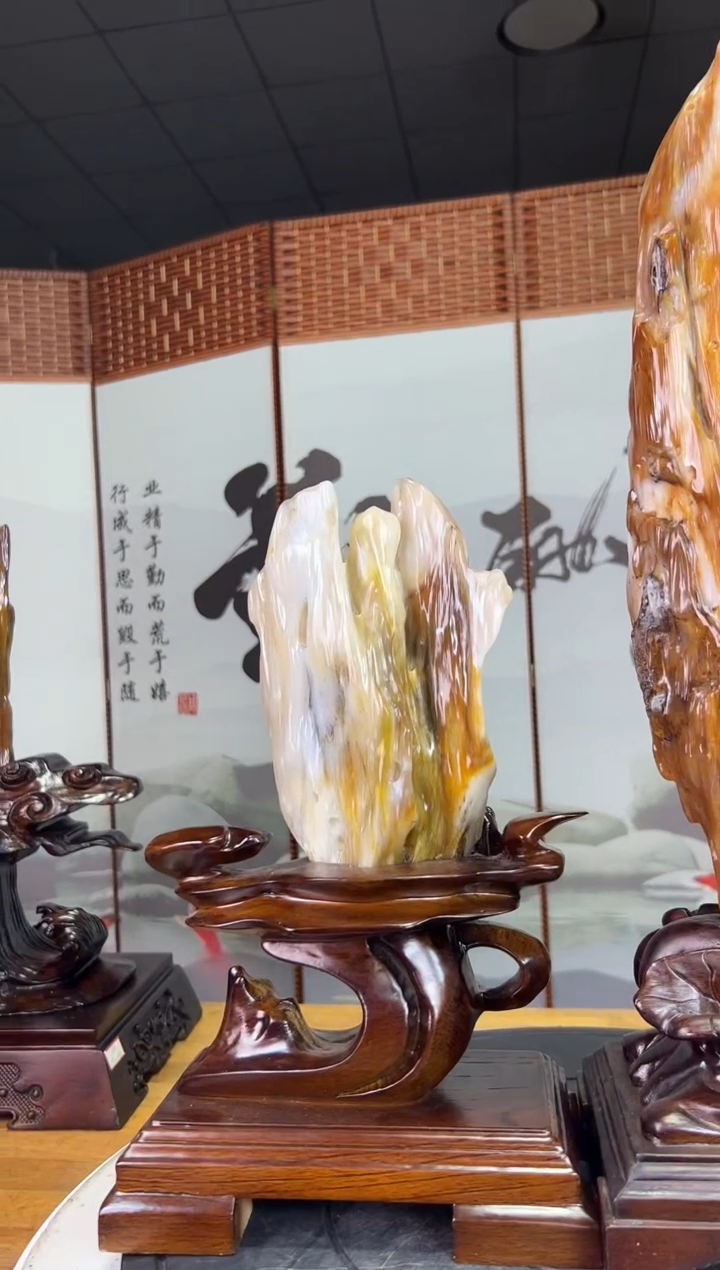 未镶嵌珠宝奇石硅化玉4