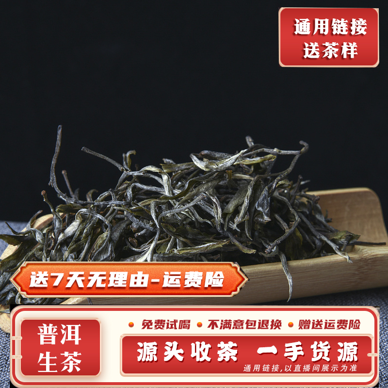 冰岛印象2025年冰岛老寨大树生散茶100克