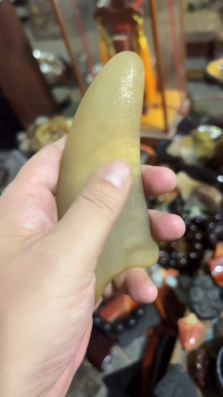 紫砂紫砂紫砂紫砂紫砂紫砂