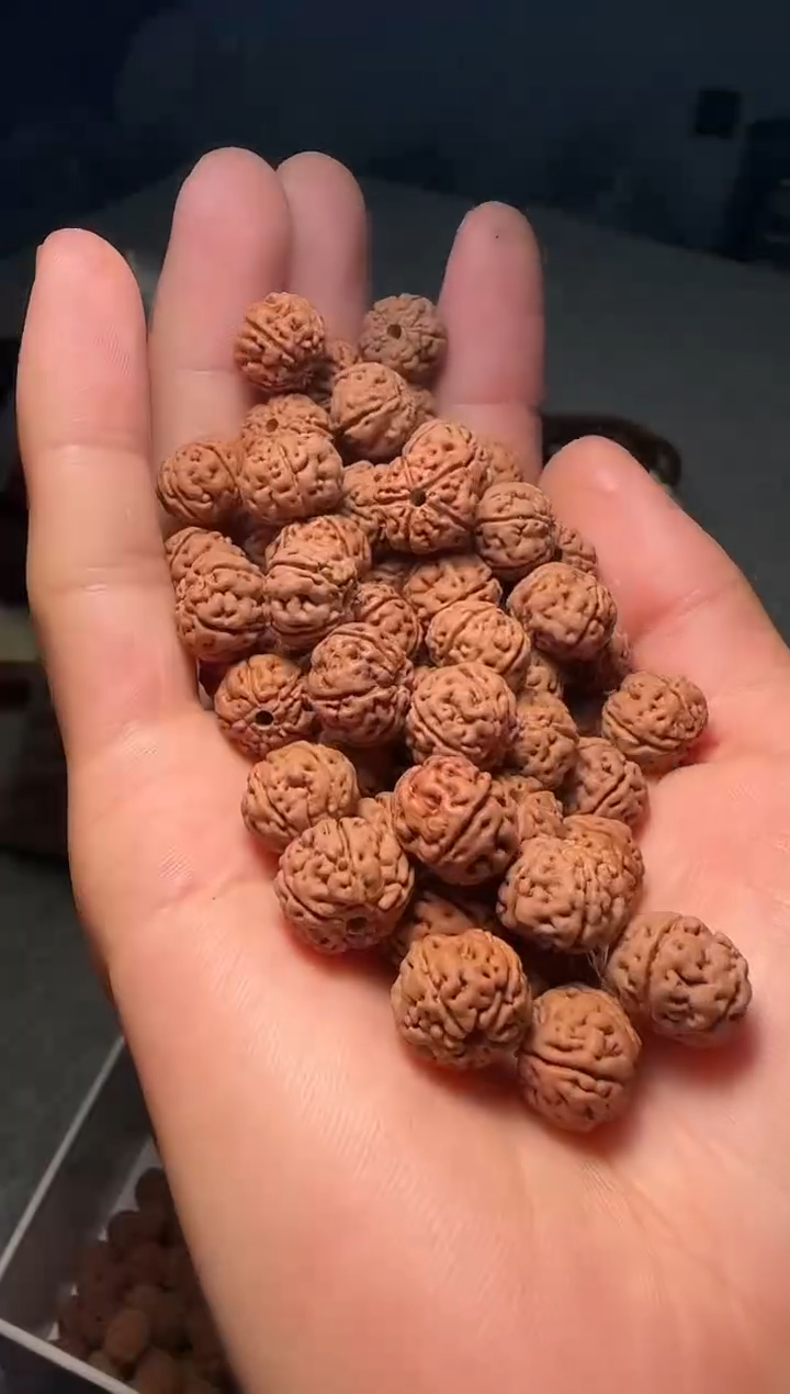 手串金刚菩提非全品老树王散籽11-12mm一份一百颗