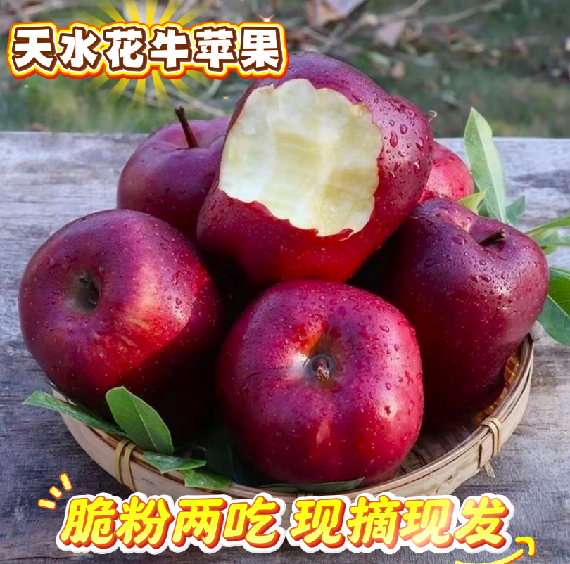 正宗甘肃天水花牛苹果当季新鲜水果脆粉两吃整箱包邮