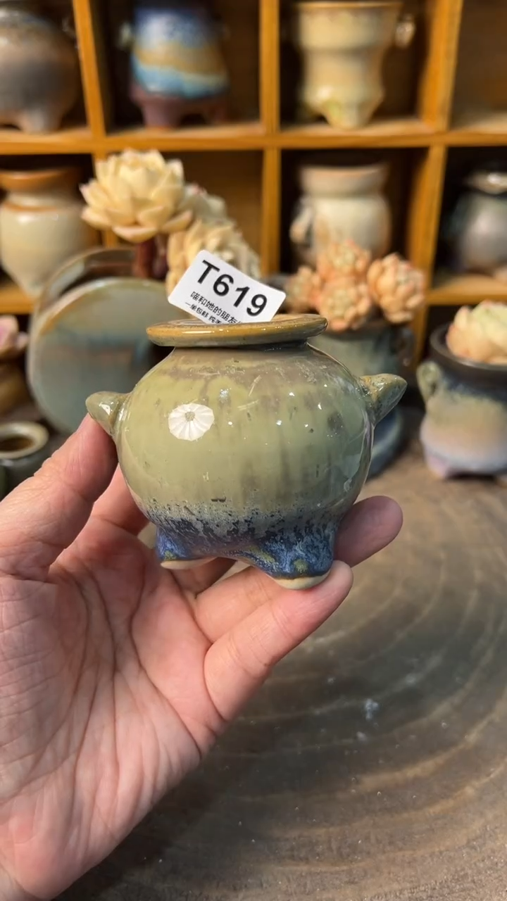 619 内口3【多肉花盆多肉盆】