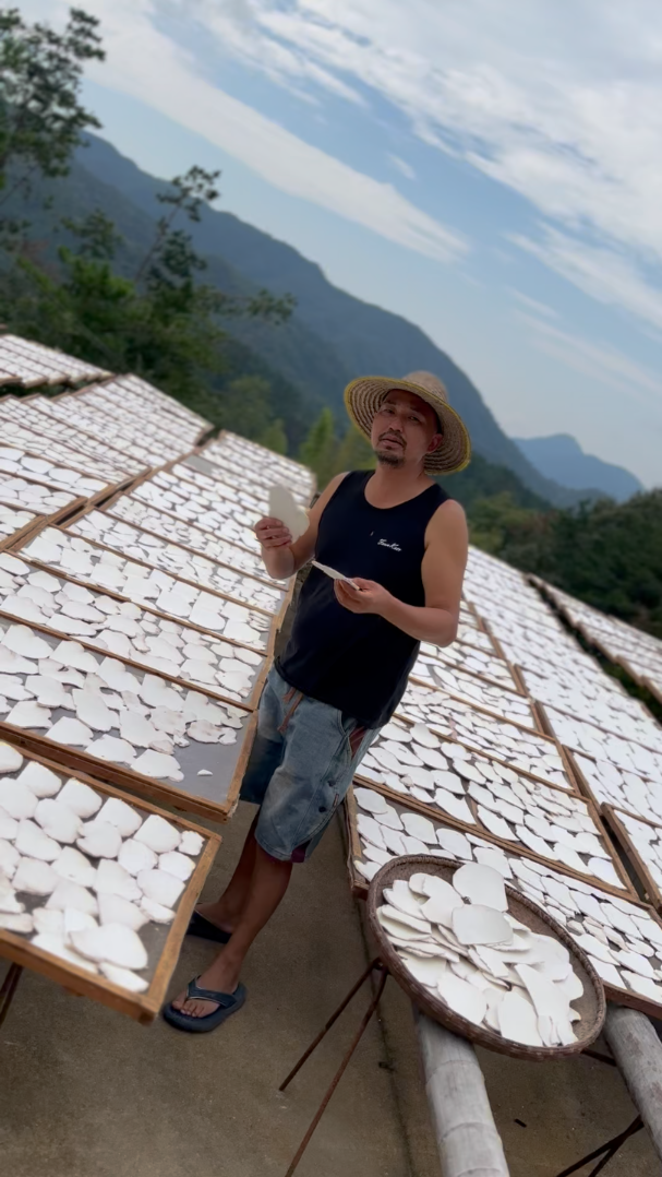 胡子哥茯苓甄选产地正宗生切生晒无硫大别山茯苓片四神汤500克