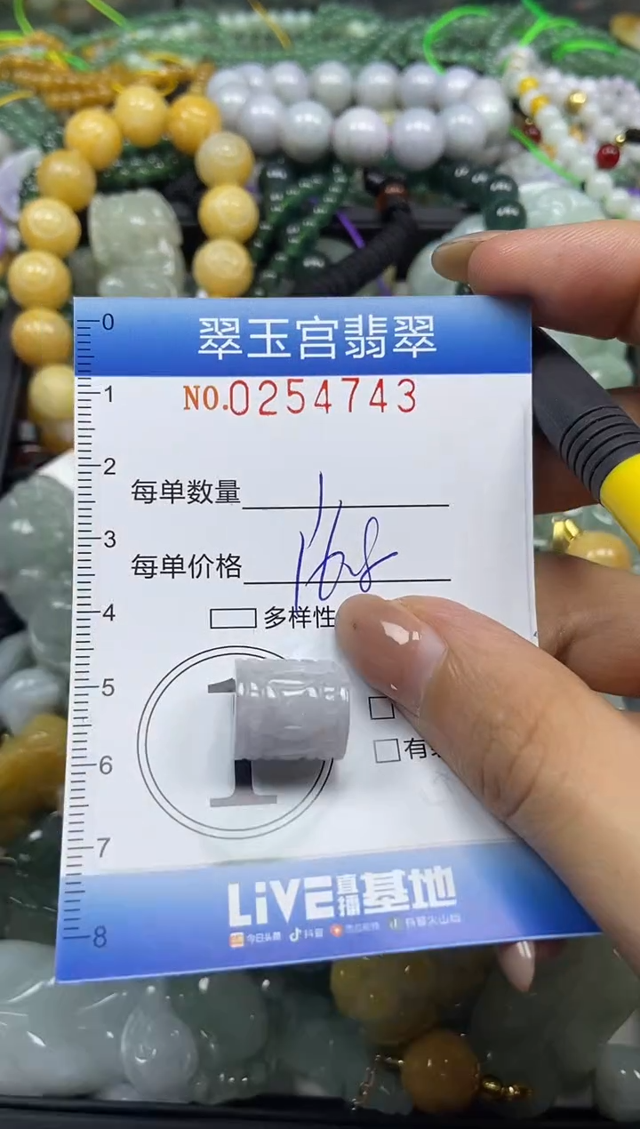 颈饰未镶嵌翡翠闪购C0254743