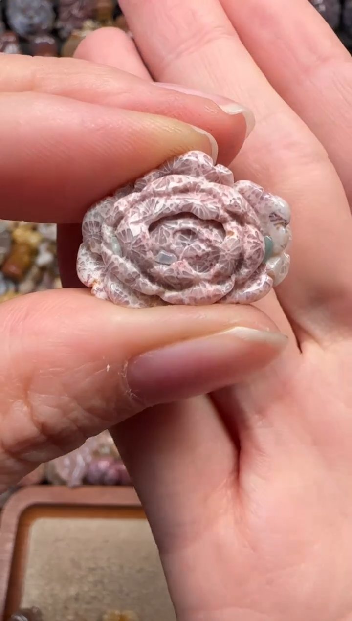 颈饰未镶嵌硅化珊瑚（珊瑚玉）421