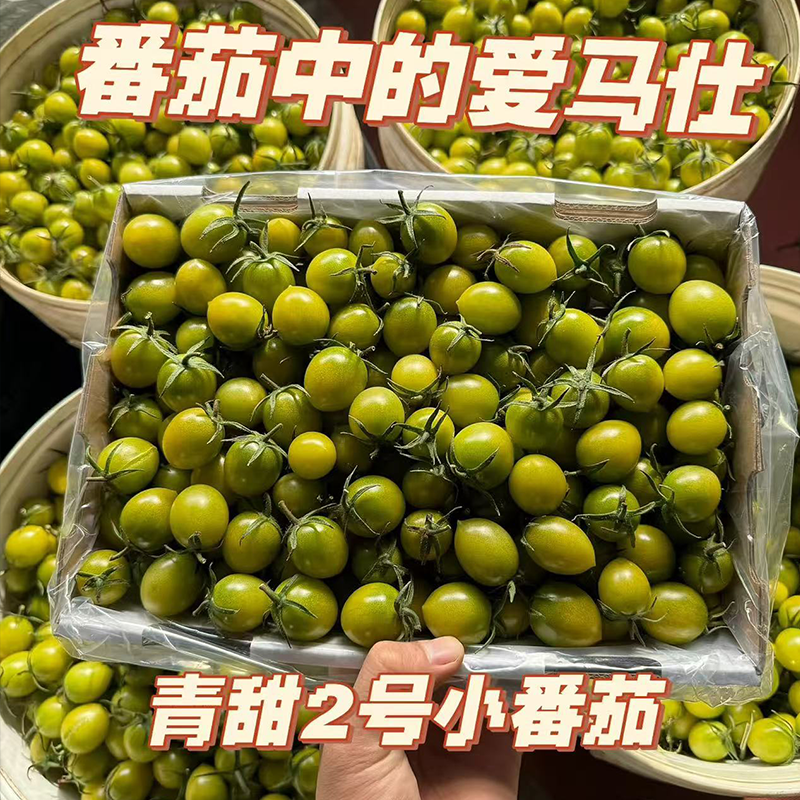 新鲜现摘青甜2号绿色小番茄圣女果多汁酸甜可口