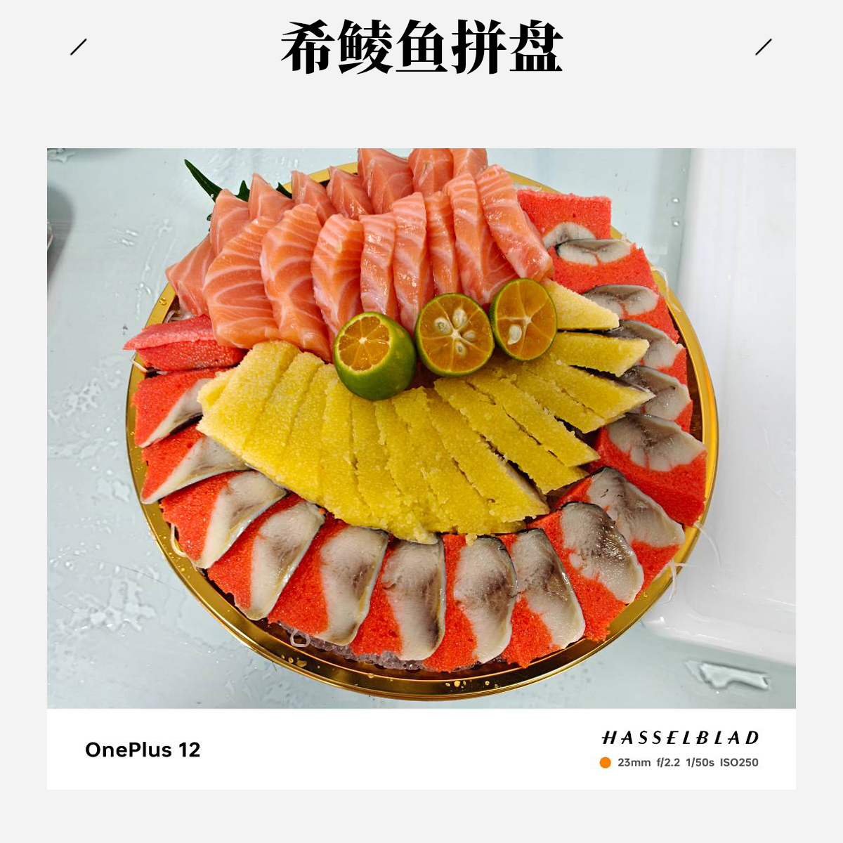 【希鲮鱼拼鱼肉】法罗群岛进口三文鱼肉250g拼希鲮鱼200g南宁同城配送（切好配冰盘）