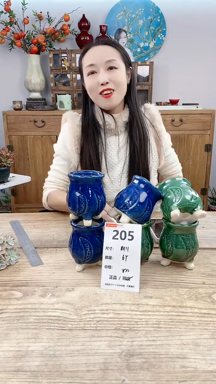 【闪购商品】红陶205