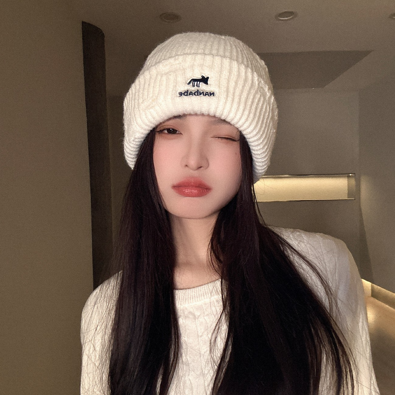 2025秋冬保暖加厚小狐狸刺绣防风骑行针织帽子女网红套头冷帽毛线