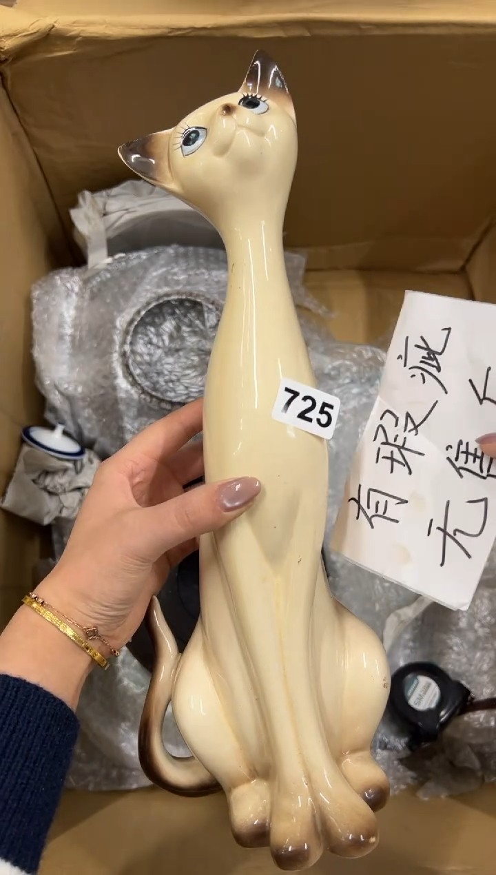 【闪购商品】额725中古商品谨慎参拍