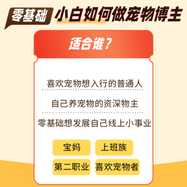 零基础小白如何做宠物博主 |十九层