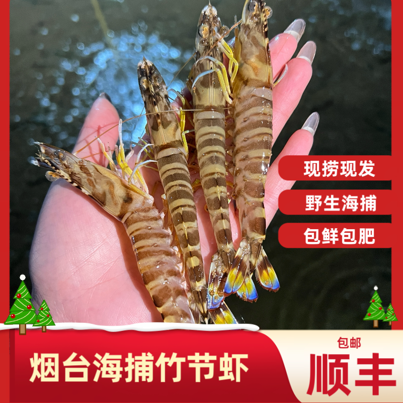 烟台本地新鲜野生海捕竹节虾九节虾  鲜活天然 0添加 顺丰