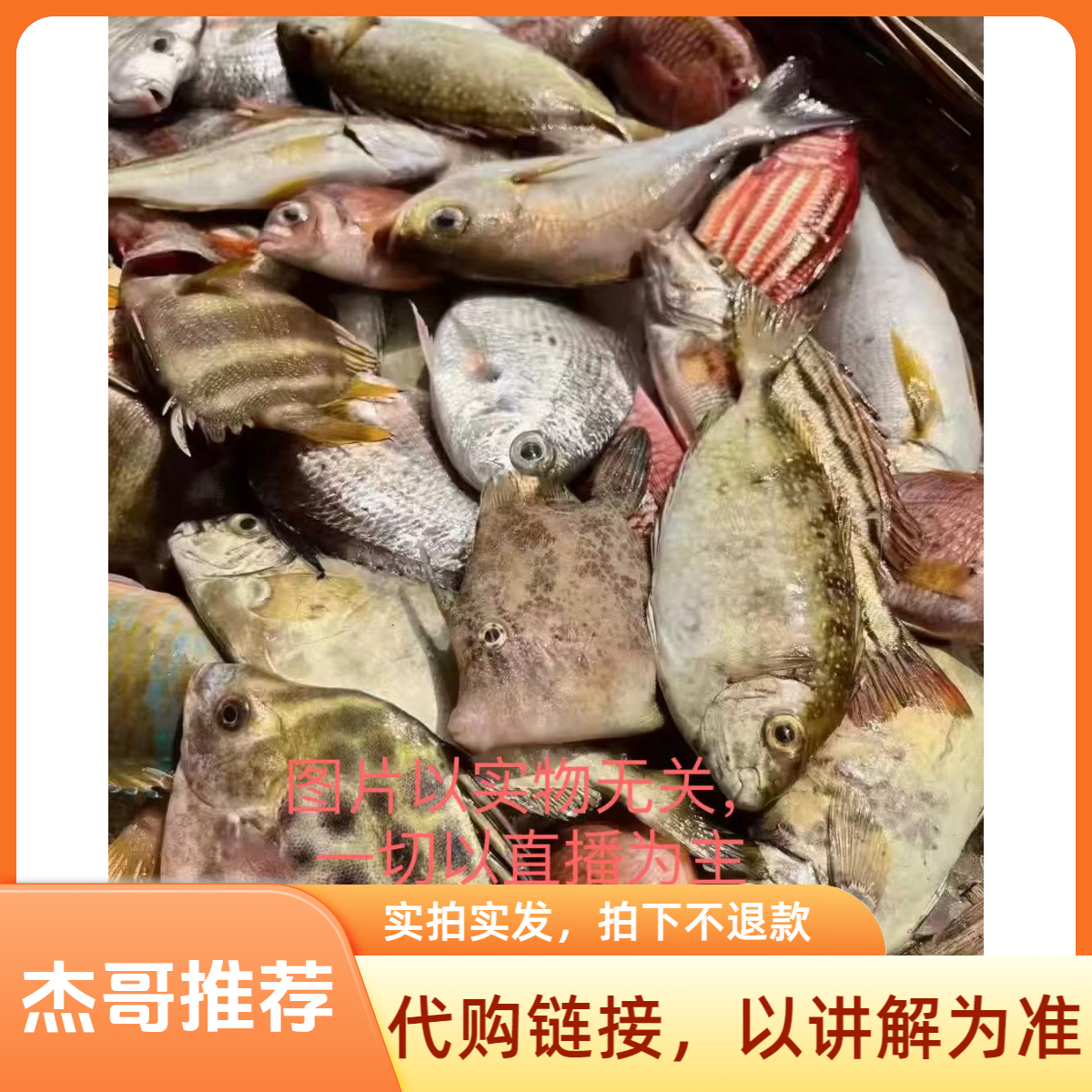 新鲜海杂鱼【代购2号链接，实拍实发，拍下不退款】