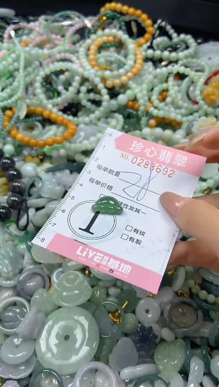 翡翠未镶嵌颈饰闪购0288692