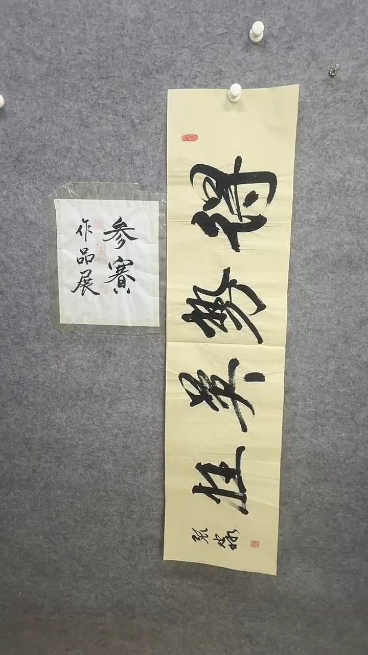 书法民间书画艺术展23