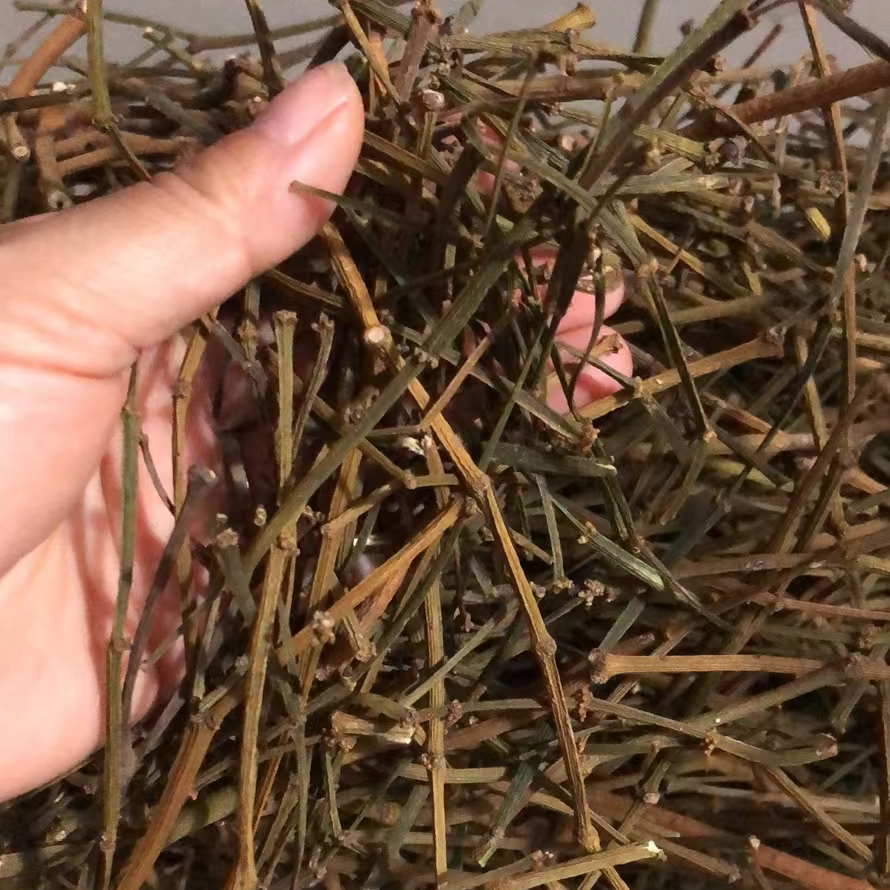粤西枫香婆婆枫木寄生螃蟹脚寄生茶健康养生天然植物