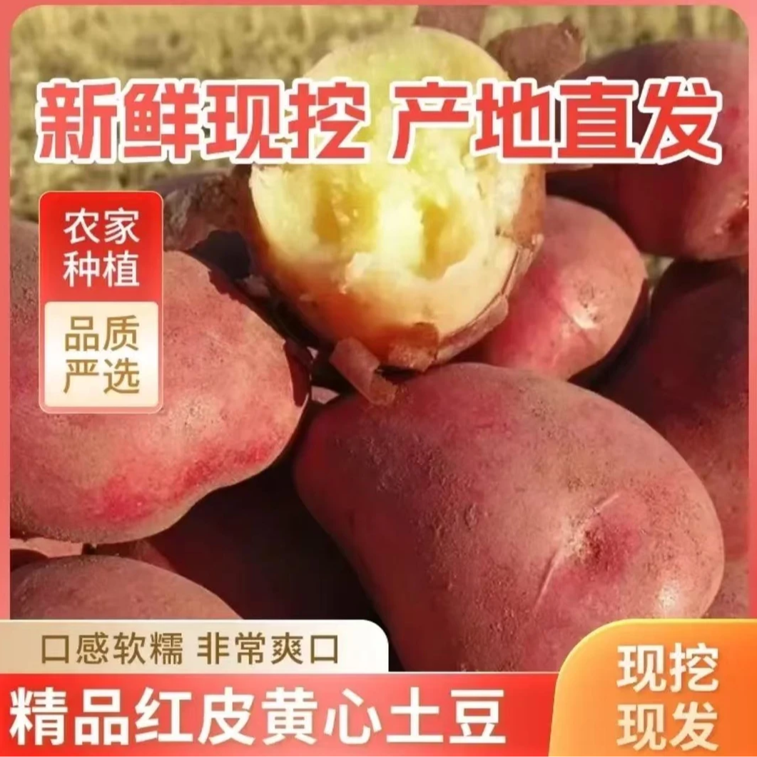 【带箱9-10斤】高原红皮黄心土豆新鲜现挖软糯香甜农家自种