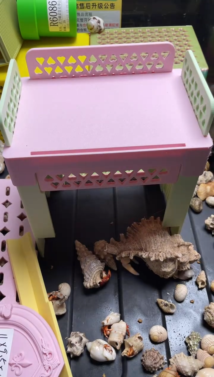 雨**晴陌派帝国高板叉叉乐6090