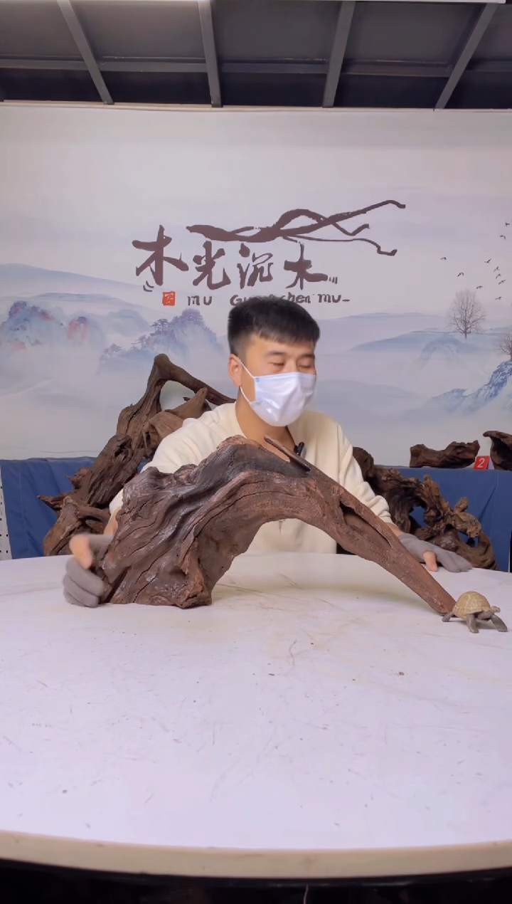 【闪购商品】a954木光沉木47.15.23