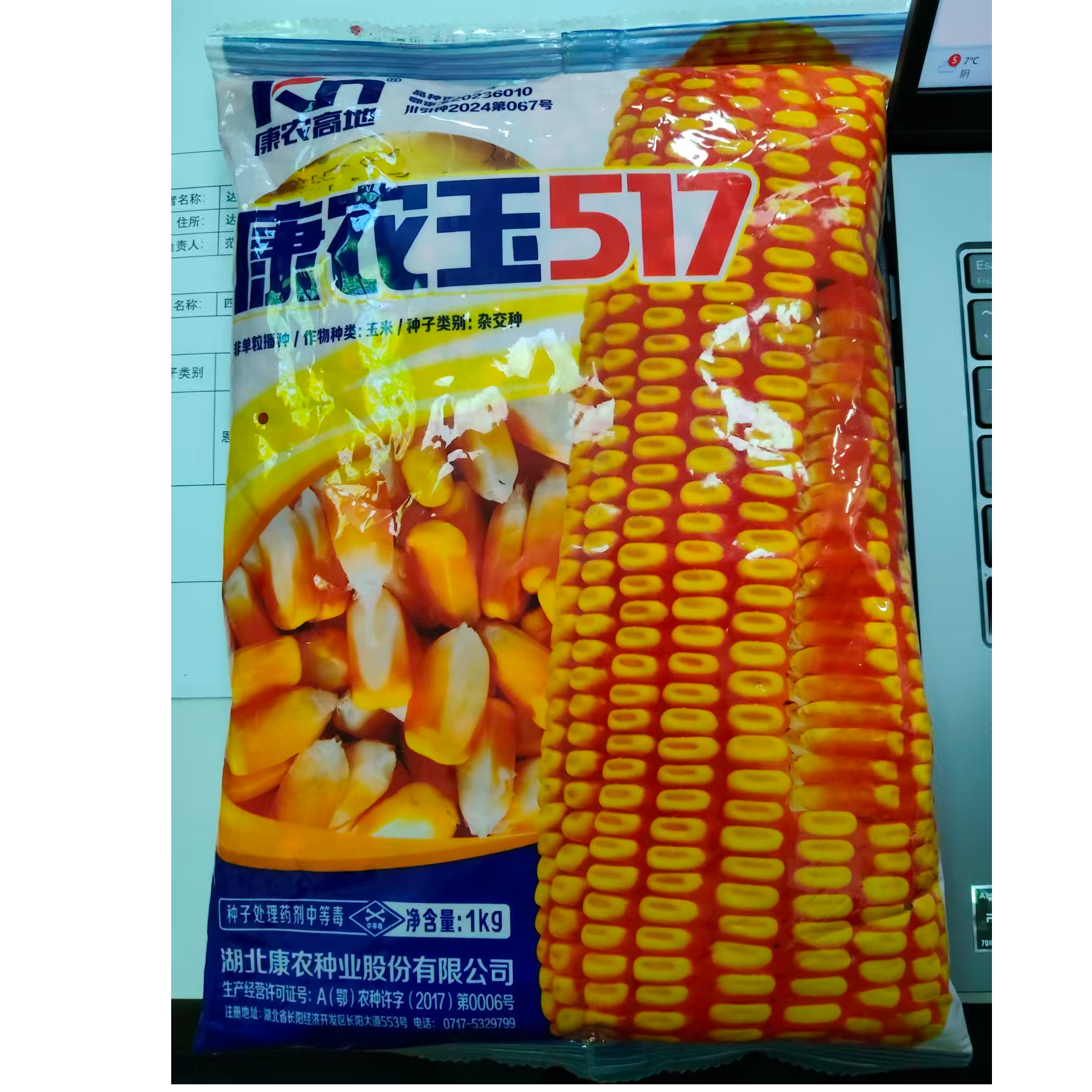 康农玉康农玉517  玉中新秀   筒形大棒  