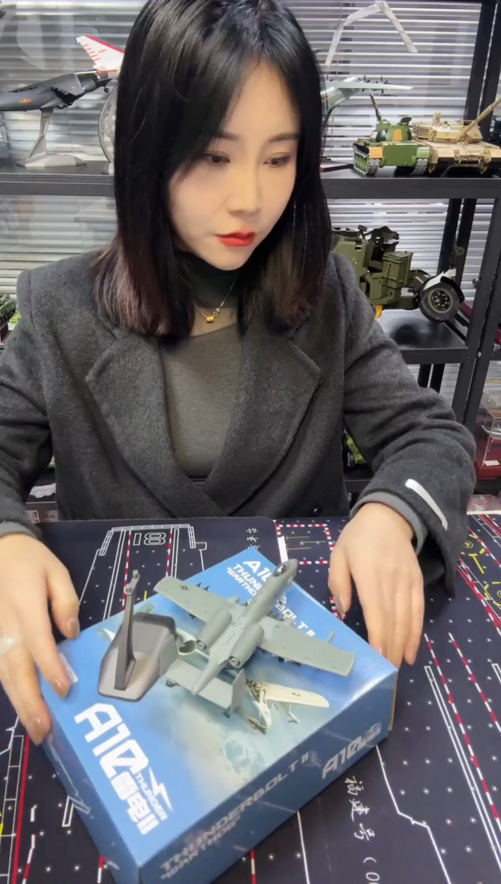 全新1/100合金飞机模型A10