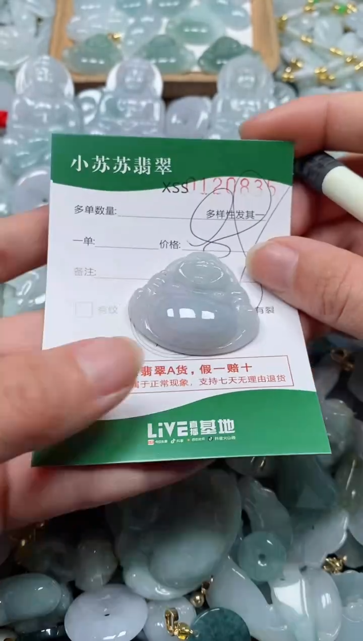 【闪购商品】翡翠颈饰未镶嵌闪购商品0102835