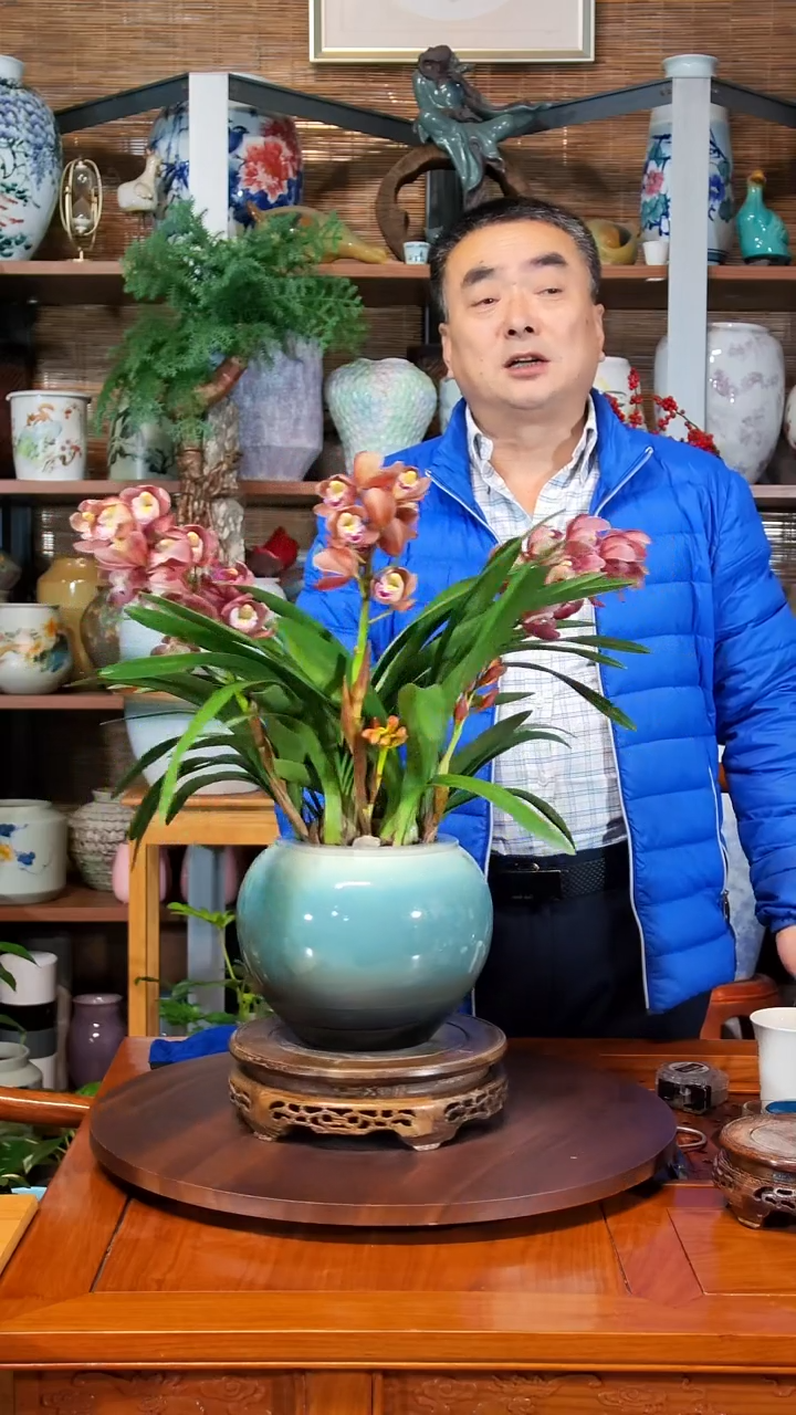 无花朵枕*生水之韵水培兰花美酒