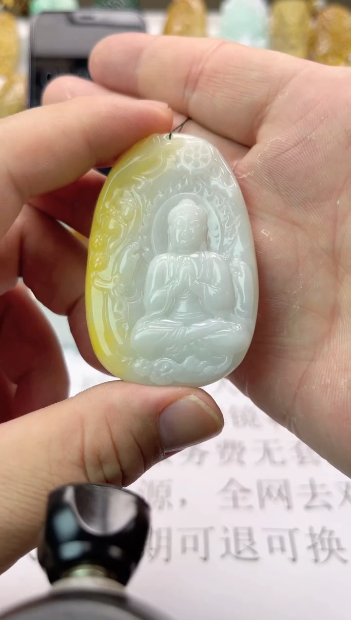 【闪购商品】翡翠颈饰未镶嵌天然翡翠