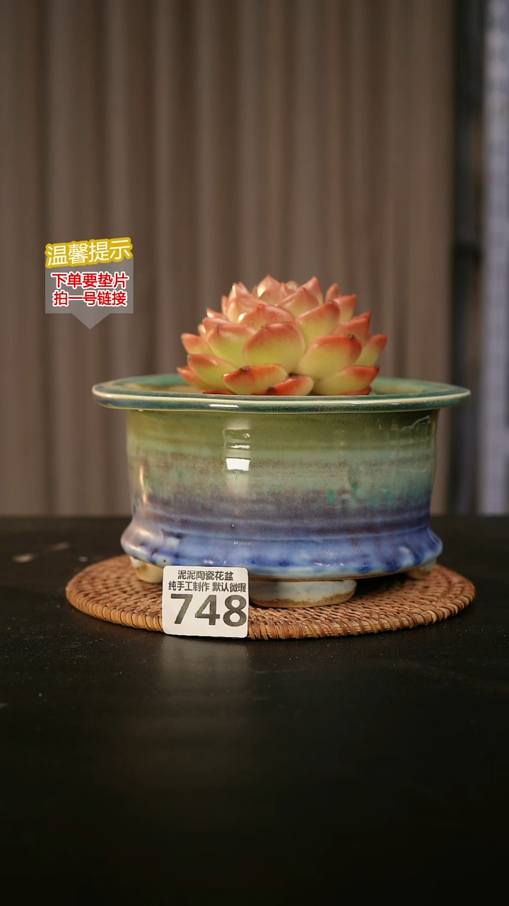 瓷片748内口径约  15外高约10