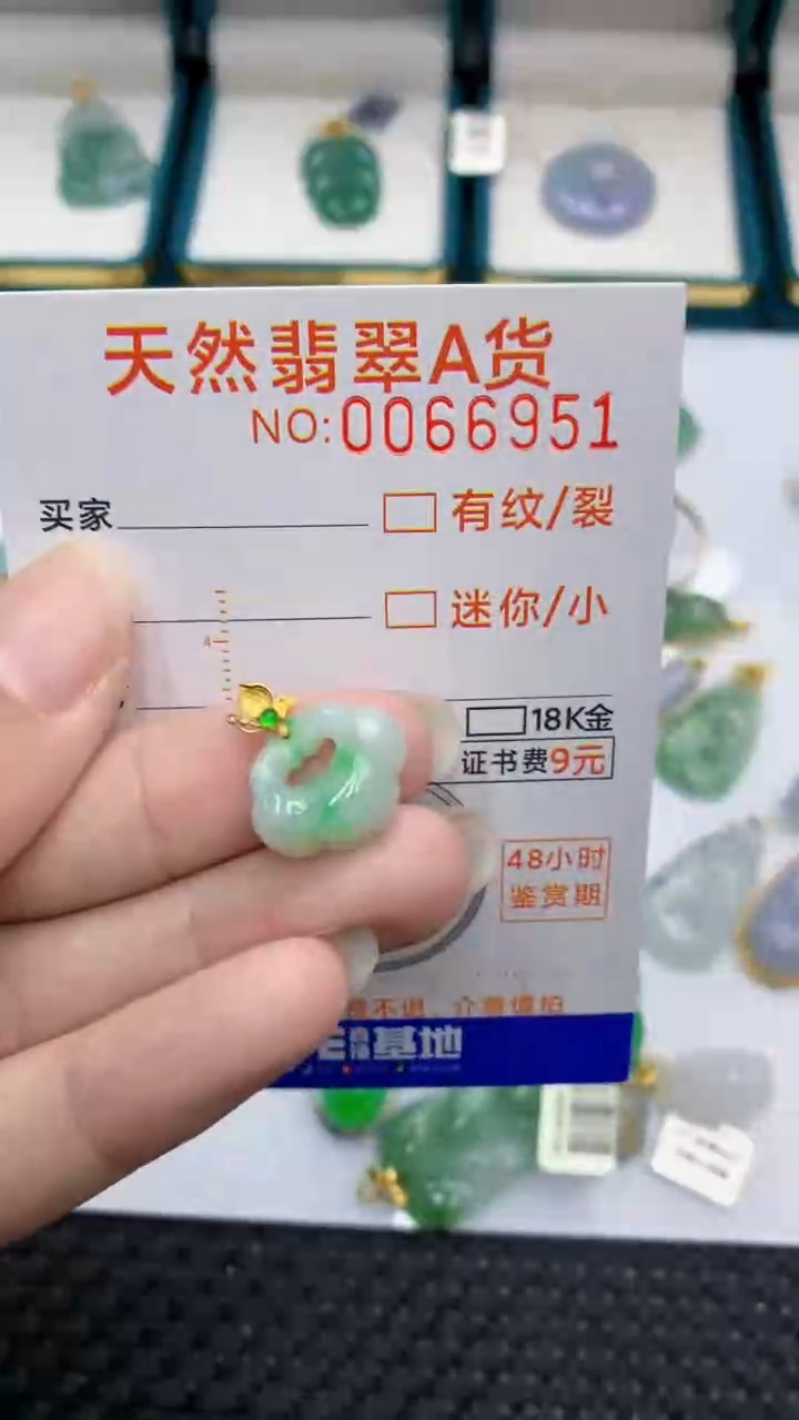 【闪购商品】翡翠颈饰18K金镶嵌            8
