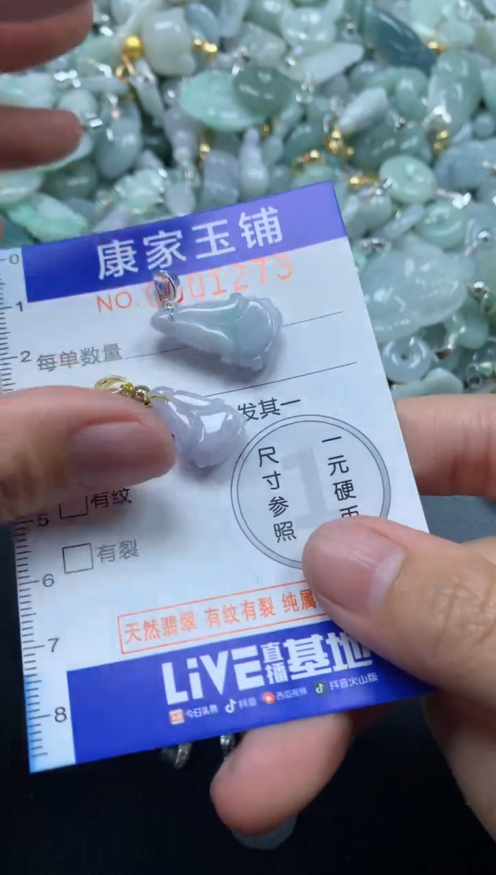 颈饰未镶嵌翡翠1273